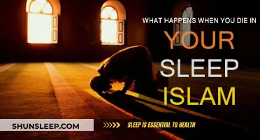 Eternal Sleep: Islamic Perspective on Death