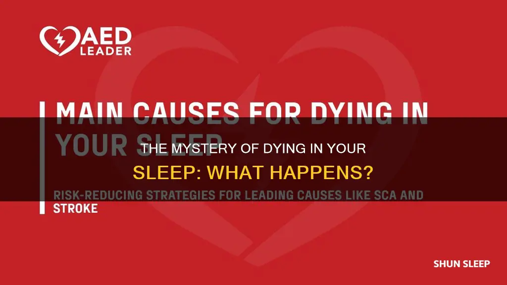 what happens when you die in your sleep