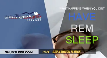 The Impact of REM Sleep Deprivation