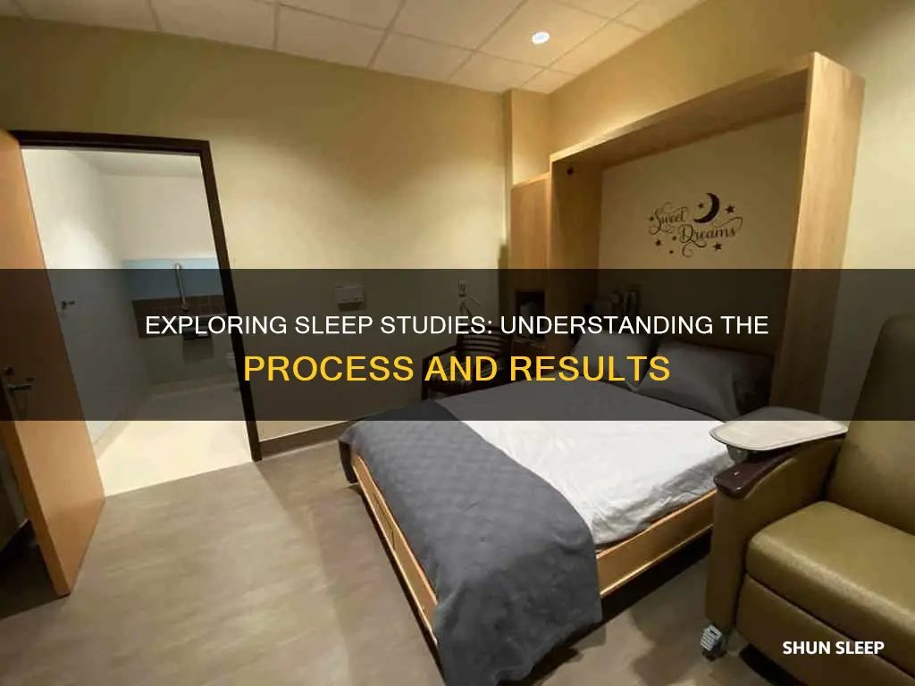 what happens when you do a sleep study