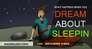 Dreaming of Sleep: Exploring the Mind's Nightly Adventures
