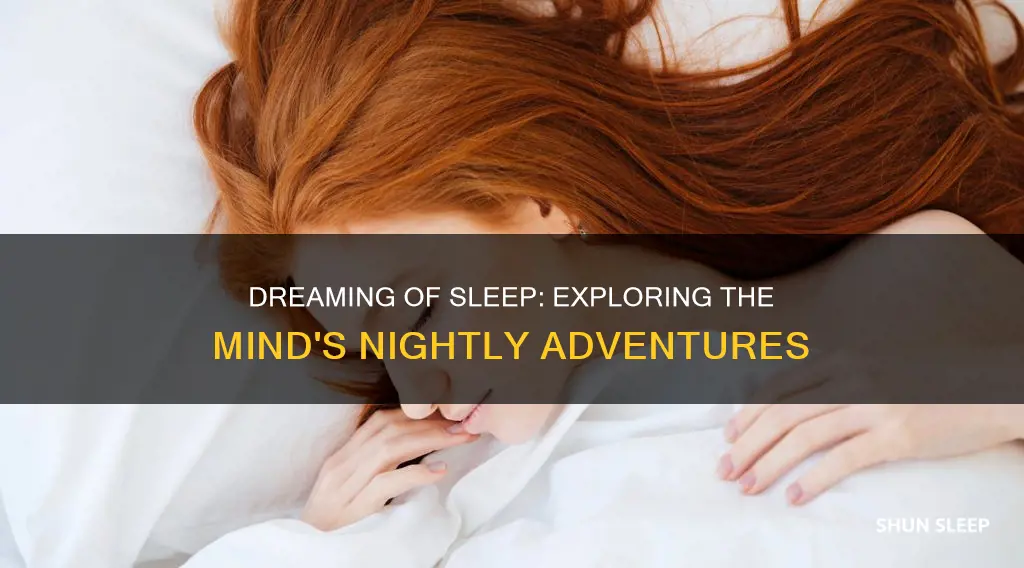 what happens when you dream about sleeping