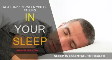Dreaming of Falling: What Your Brain is Thinking