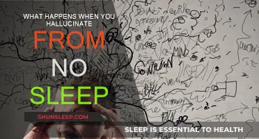 Hallucinations: The Mind's Tricks When Sleep Deprived