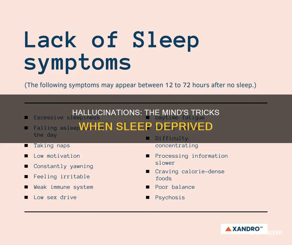 what happens when you hallucinate from no sleep