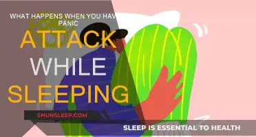Panic Attacks in Sleep: What Happens and Why?