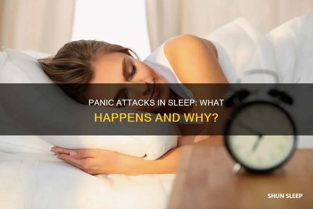 what happens when you have a panic attack while sleeping