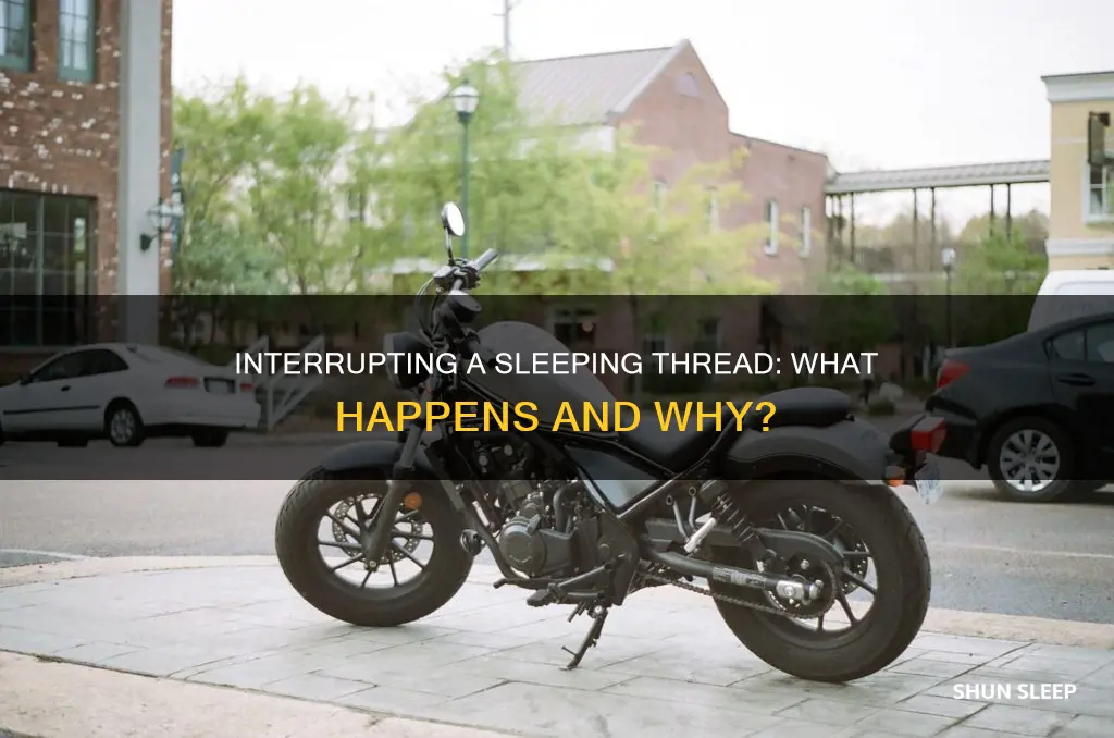 what happens when you interrupt a sleeping thread