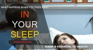 The Mystery of Passing Away Peacefully in Sleep