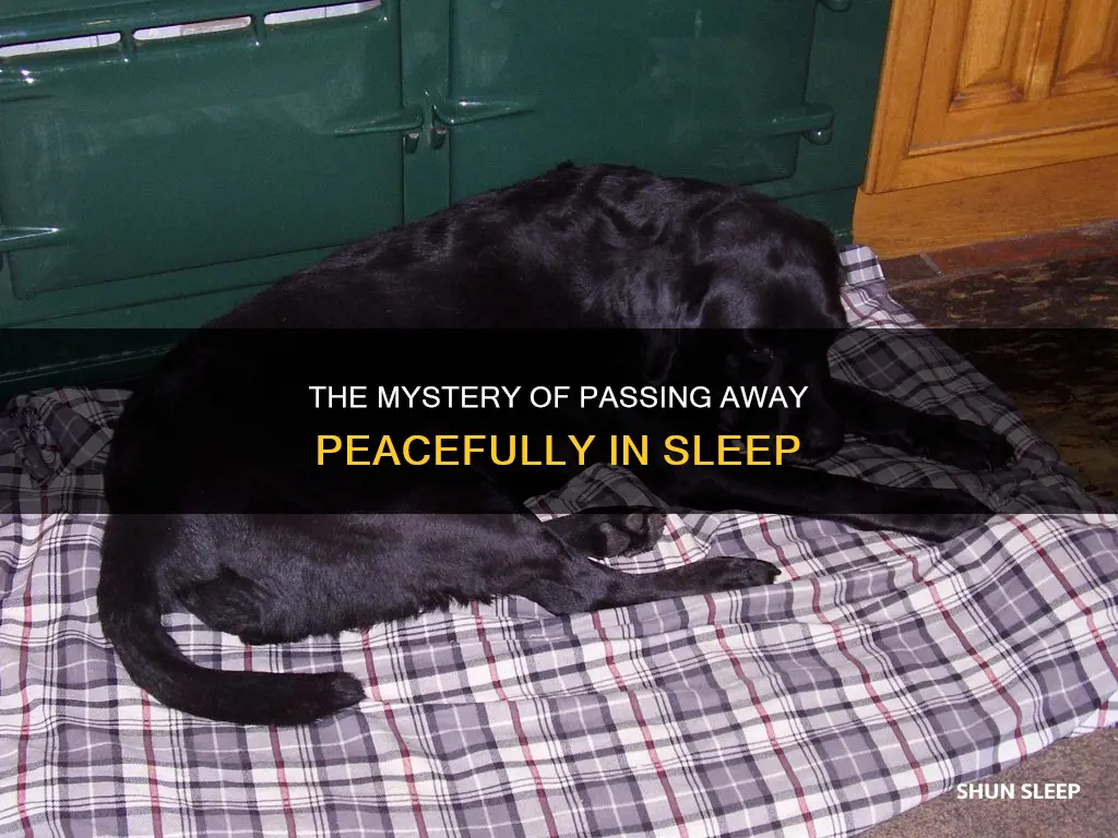 what happens when you pass away in your sleep