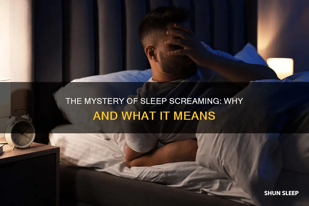 what happens when you scream in your sleep
