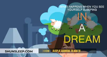 Why Do You Dream of Sleeping?