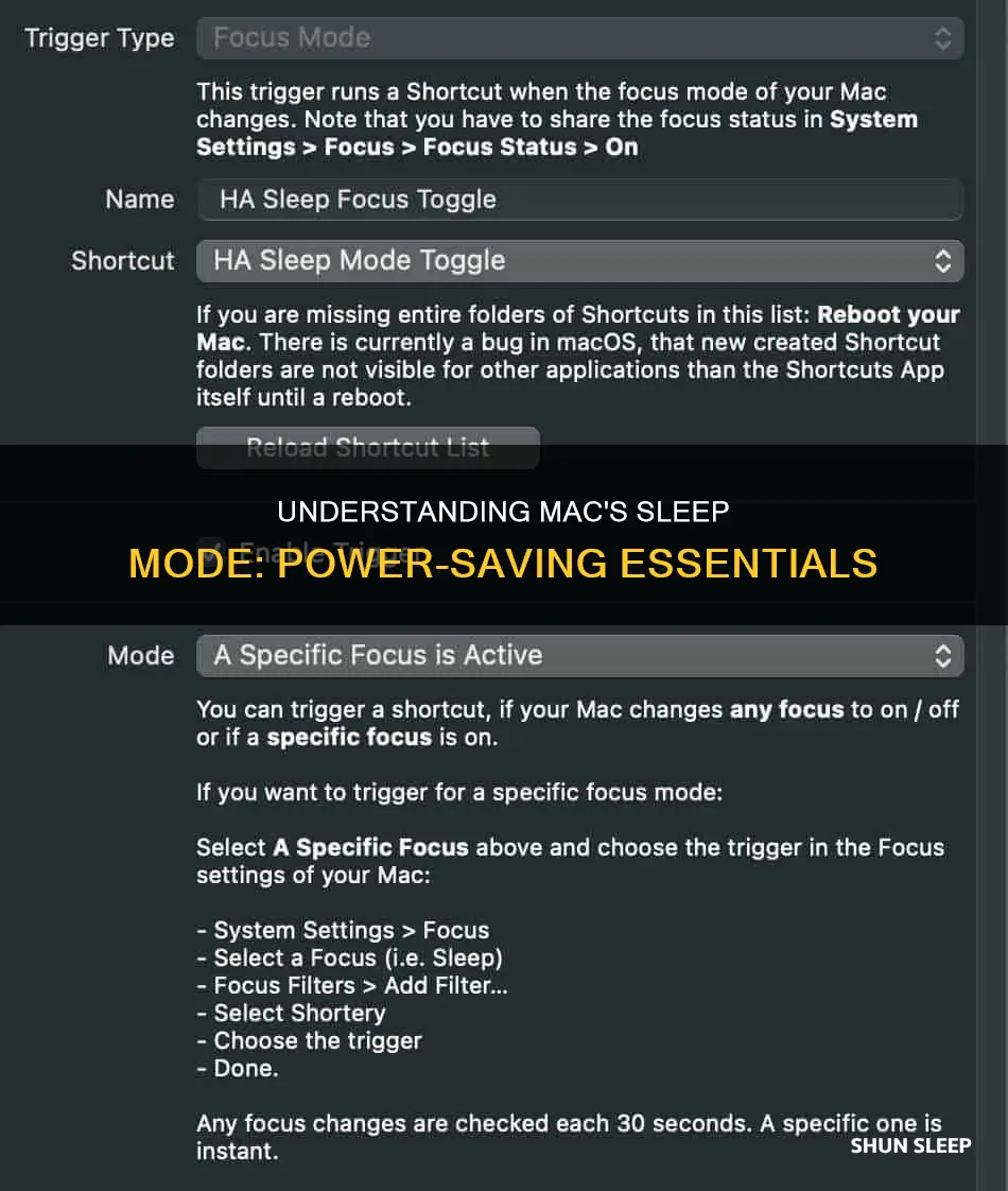 what happens when you select sleep on mac os x