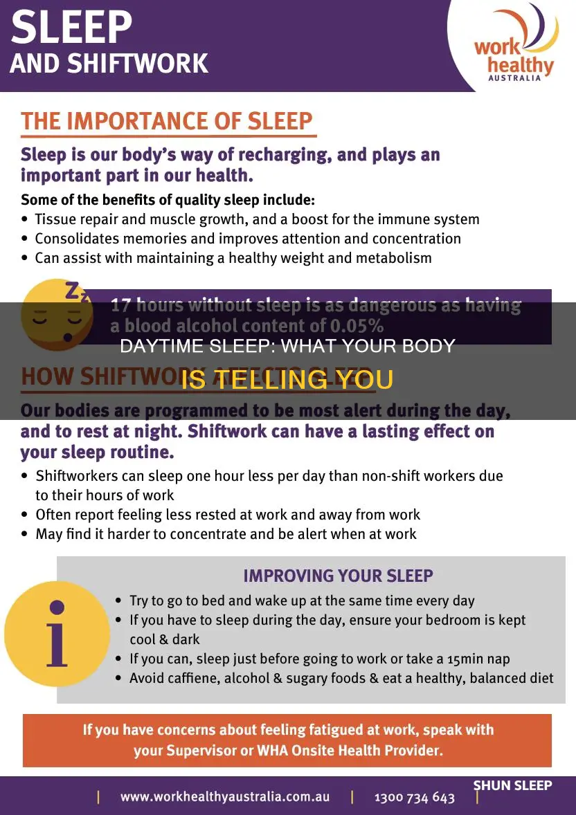 what happens when you sleep a lot during the day