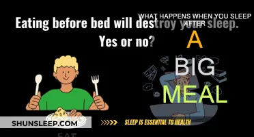 Post-Dinner Naps: The Good, Bad and Ugly