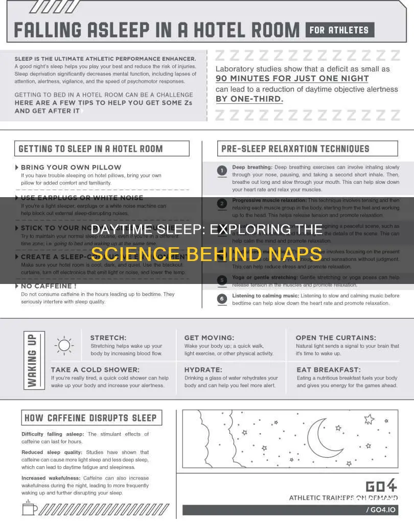 what happens when you sleep at daytime