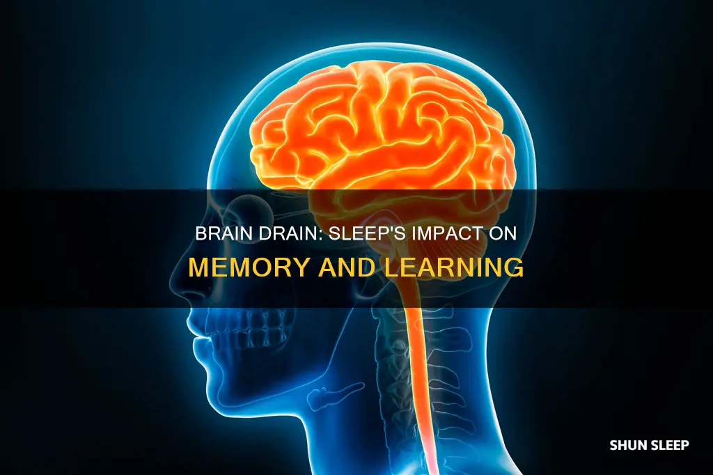 what happens when you sleep brain drain