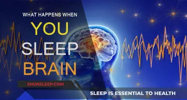 Brain Activity: Sleep and its Impact