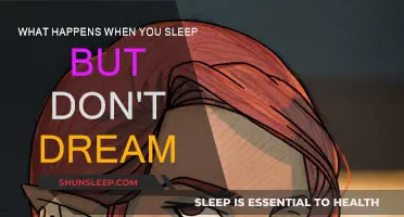 Why Do We Sleep Without Dreaming?