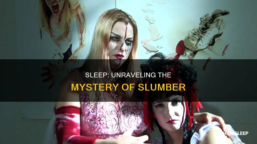 what happens when you sleep documentary