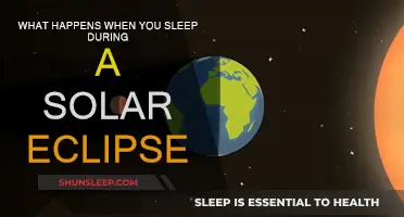 Mysteries of Sleep During a Solar Eclipse