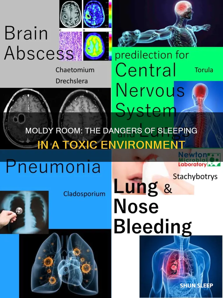 what happens when you sleep in a room with mold