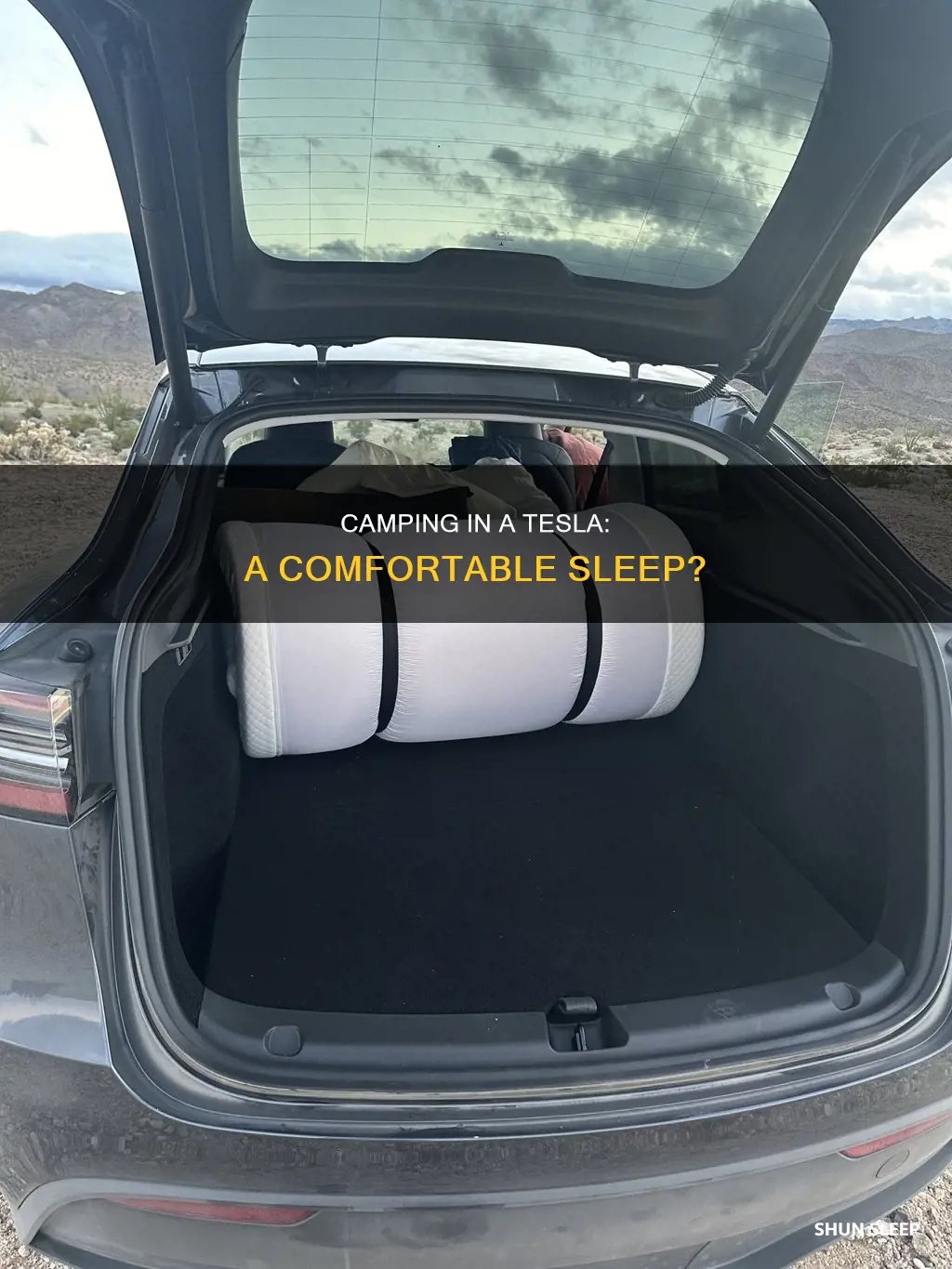 what happens when you sleep in a tesla