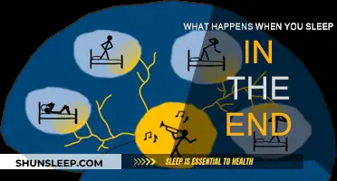 The Mystery of Sleep: What Happens When We Close Our Eyes