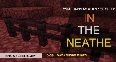 Exploring Sleep in the Nether: A Strange Adventure