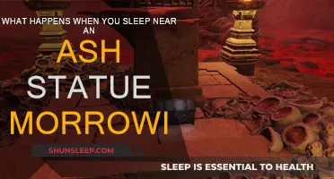 Sleeping Near Ash Statues: A Morrowind Mystery