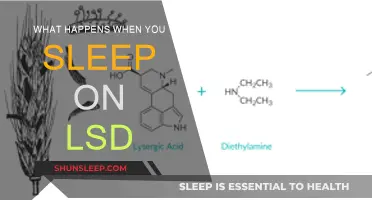 Exploring Dreams: Sleeping on LSD