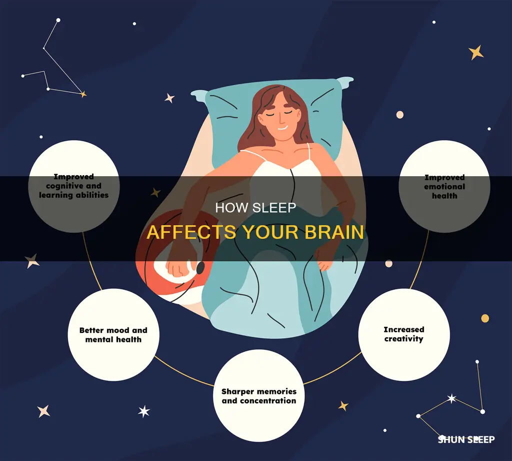 what happens when you sleep prezi