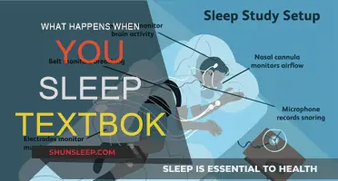 How Sleep Enhances Learning and Memory