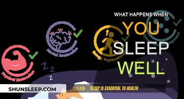 Sleep Well, Live Well: The Benefits of Quality Sleep