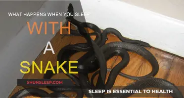Sleeping with Snakes: What You Need to Know