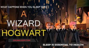 Hogwarts Wizardry: Magical Dreams and Secrets Revealed
