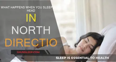 Sleeping North: The Direction of Rest