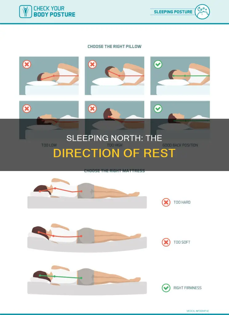 what happens when you sleep with head in north direction
