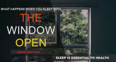 Fresh Air or Noisy Night: Sleeping with Windows Open