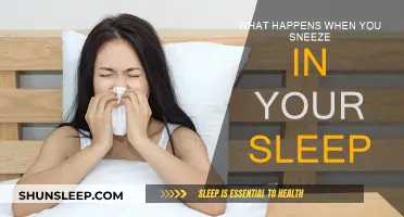 Sneezing in Sleep: What's Happening and Why?