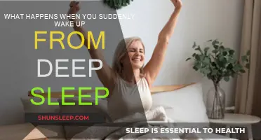 The Mystery of Sudden Awakening from Deep Sleep