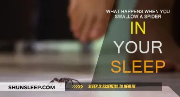 Spider Swallowing: What Are the Risks While Sleeping?