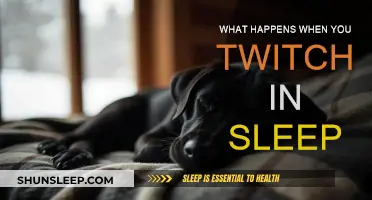 Why Do We Twitch in Our Sleep?