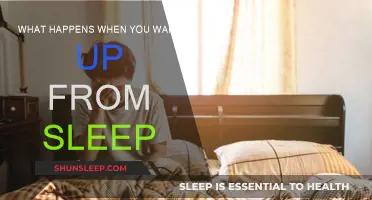 The Mind's Journey: From Slumber to Awakening