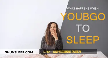 Exploring the Intriguing World of Sleep and Dreams
