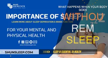 The Mystery of REM Sleep Loss