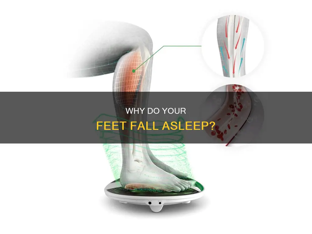 what happens when your foot goes to sleep
