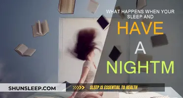 Exploring the Science of Nightmares and Sleep