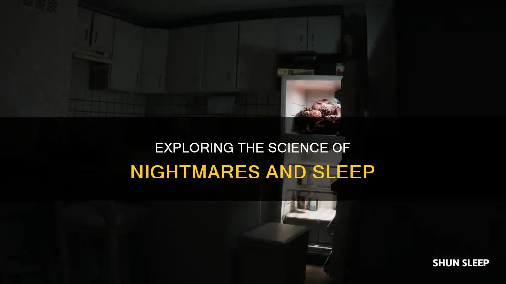 what happens when your sleep and have a nightmare
