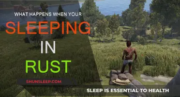 Rust Sleep Functions: What You Need to Know